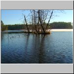 Kanclir  3.12.2008 11-14-30.JPG